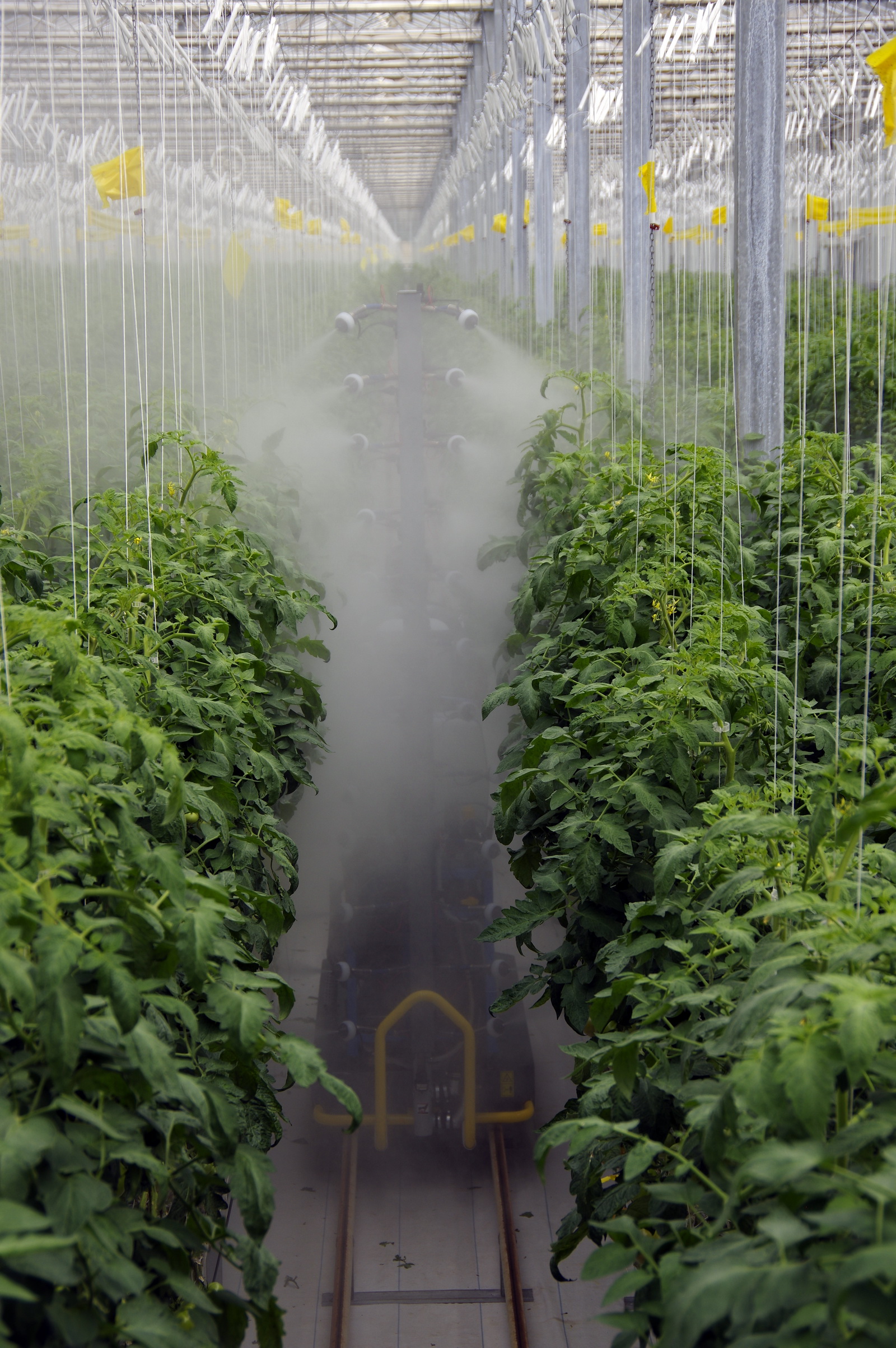 Greenhouse Sprayers I. & M. Smith (Pty) Ltd